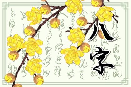 藏干与地支藏气